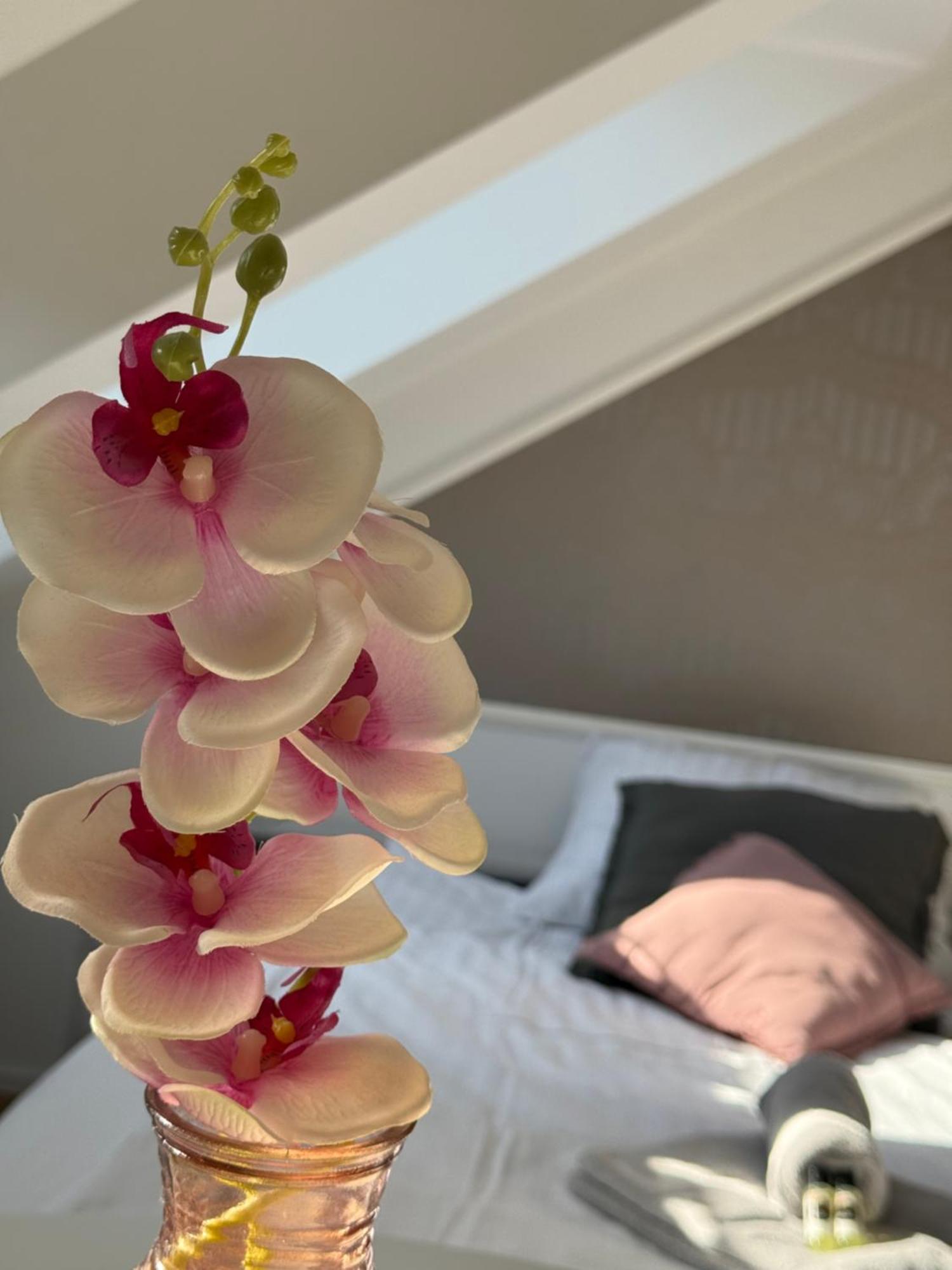 Cozy Apartments Λιουμπλιάνα Εξωτερικό φωτογραφία